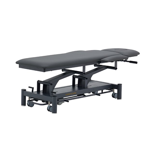 Coinfy PRO Series 2-Section with Armrests Electric Treatment Table