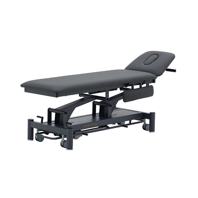 Coinfy PRO Series 2-Section with Armrests Electric Treatment Table