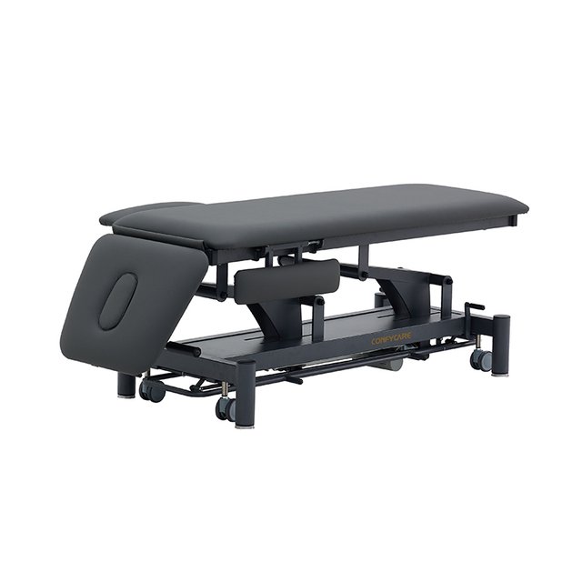 Coinfy PRO Series 2-Section with Armrests Electric Treatment Table