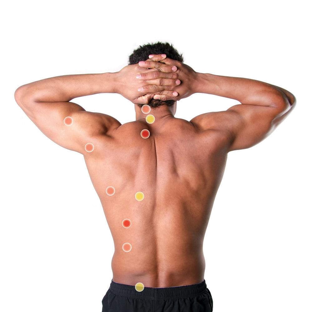 Trigger Point Balls Target 66fit Acupressure Trigger Point Massage Balls - Phoenix Physio Supplies